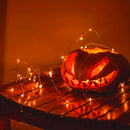 ROKASLO 1 pacote de luzes de fadas de 5 metros, 50 luzes de LED estilo conto de fadas, luzes LED alimentadas por 3 pilhas AA, adequadas para decorações como Natal, casamentos, festas, férias em família, encontros, casamentos, etc. (sempre acesas)